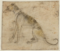 K IX 022
          <br/>
          Zittende hazewindhond, naar links
          <br/>
          <em>De' Grassi, Giovanni (werkzaam 1389-1398) - atelier van</em>
